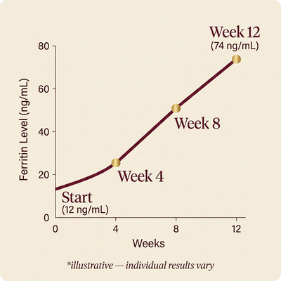 Ferranova — ferritin rebuild